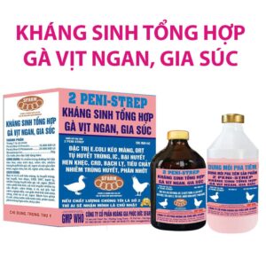 2peni-step ksvn