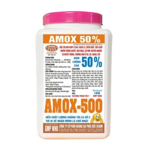 AMOX 50%
