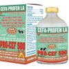 CEFA-PROFEN LA