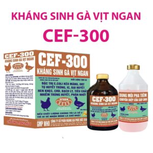 Cef-300 khang sinh ga vit ngan